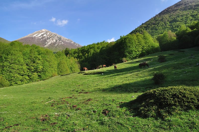 il parco nazionale del pollino