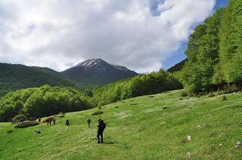 Pollino - Parco Nazionale