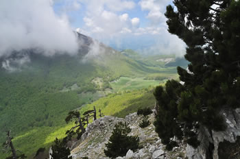 Pollino - Parco Nazionale