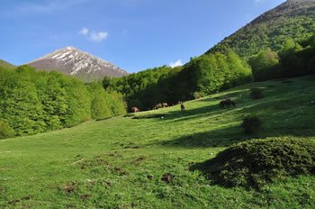 Pollino - Parco Nazionale